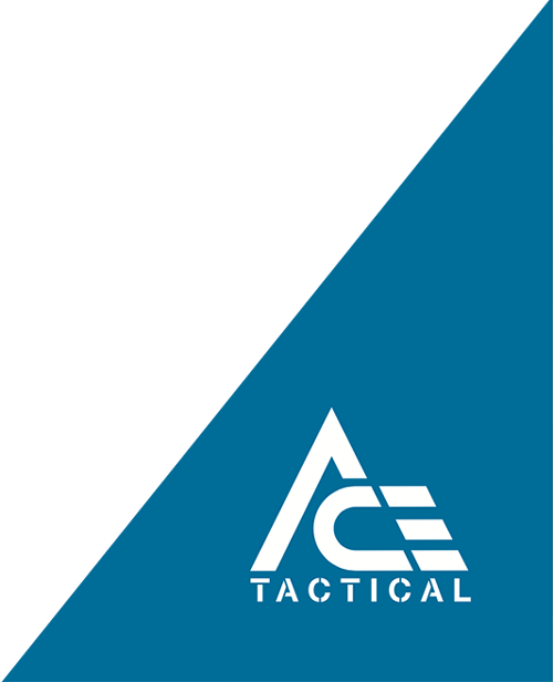 ace logo