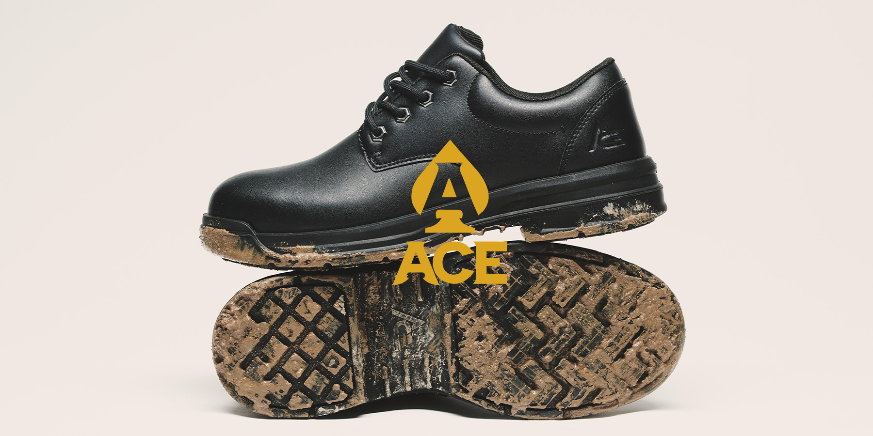 ACE logo