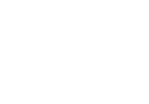 Puma Safety logo