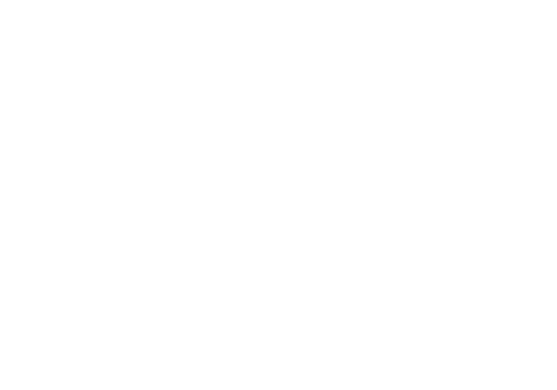 Puma Safety logo