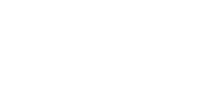 Tyson logo