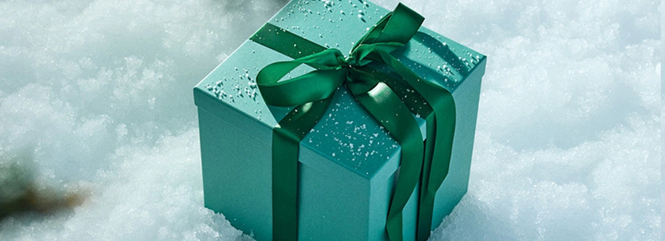 Green Present sitting in snow