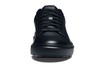22597 left view