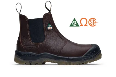 DeWalt - Nitrogen CSA  Steel Toe - Men's / Earth Krell
