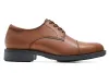 Senator available in Brown