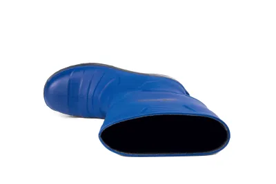 Sentinel - Steel Toe top view
